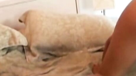 Interracial Pleasure - Episode 1