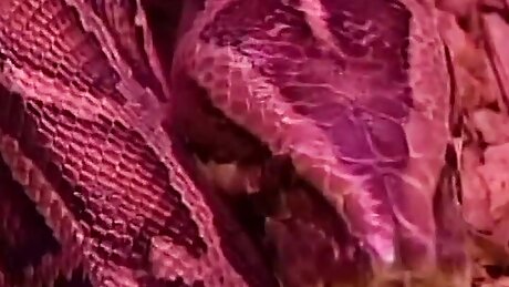 La Venere Bianca in MANUELA - (Full HD Version - Director