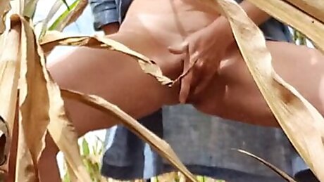 Task: Squirt in corn field