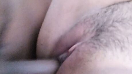 my black bull impregnated my pussy in petition of my cuckold husband