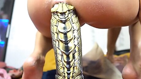 Siswet Stretching her Ass with the Breeder