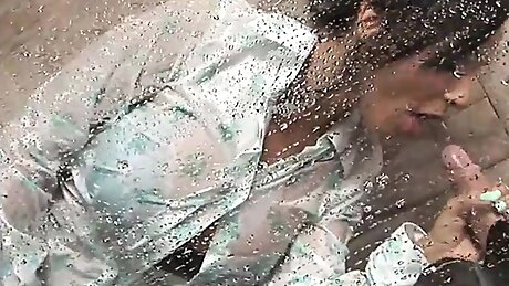 Aqua Birds (Full Movie)