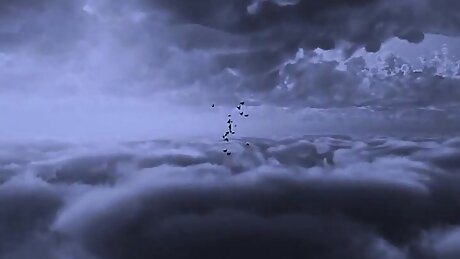 Batfxxx - The Dark Knight Parody (Full Movie)