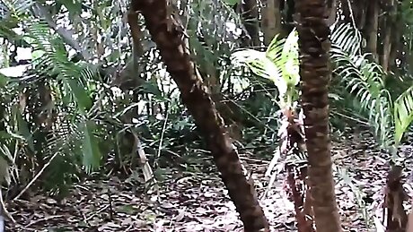 DaughterSwap - Stepdads Teach Their Cute Stepdaughters How To Satisfy Men While Camping In The Woods