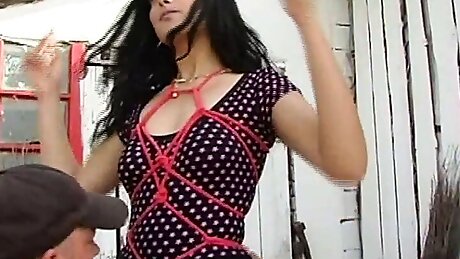 Bondage Pleasure (Full HD Version - Director special cut)