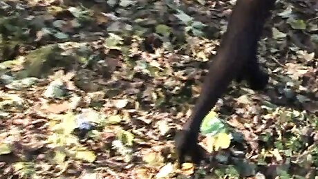 Sexy bitch in the car!