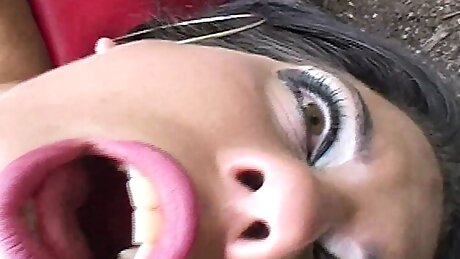 Wild bitch in the nature!