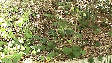 Young redhead with natural boobs banged hard