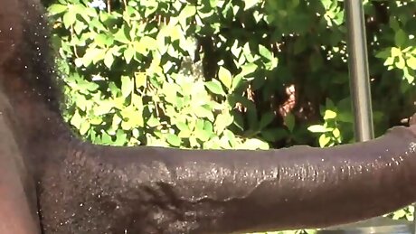 Threesome with the big black cock