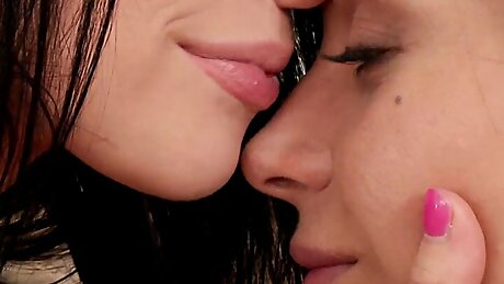 Time for a glorious session to drive you wild