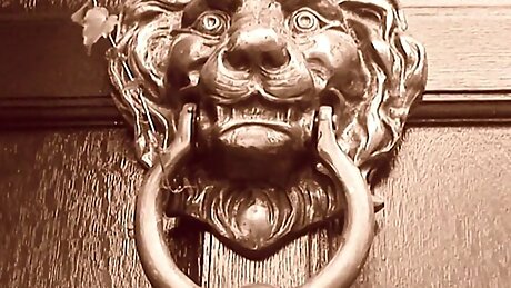 Sophisticated babe with glasses is so happy to give head with her friend