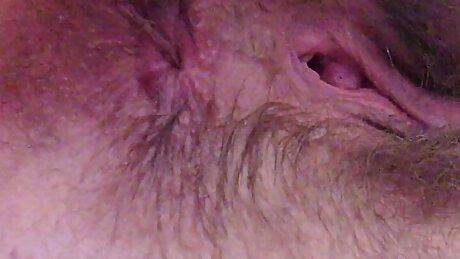 Hairy Ass Winking Close-Up Asshole Fetish