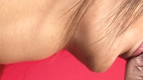 Lovely Japanese Milfs Vol 31