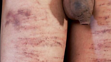 Blond Mistress Whips Unmercifully