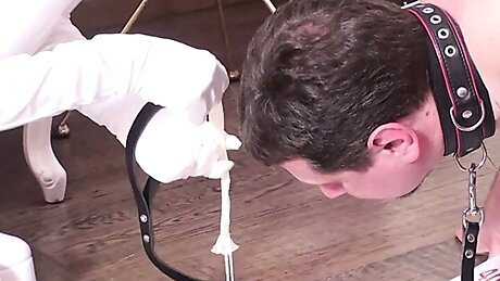 glamour models humiliation femdom