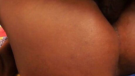 Busty ebony skinned has anal sex with a black cock