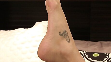 Hot ass Latina shows her cock sucking skills before guy pounds her cunt