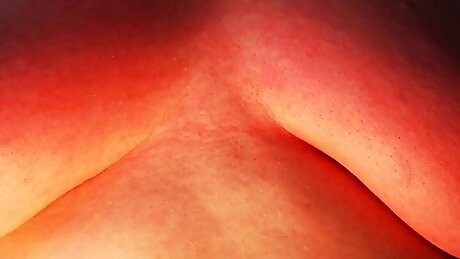 Tits in pain - Quad view