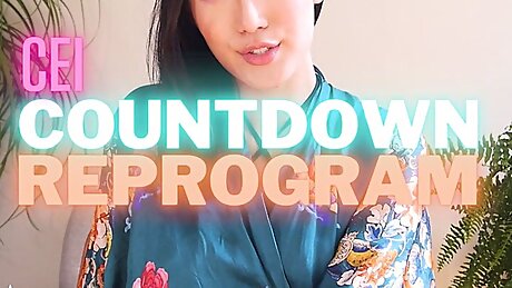 CEI Countdown Reprogram