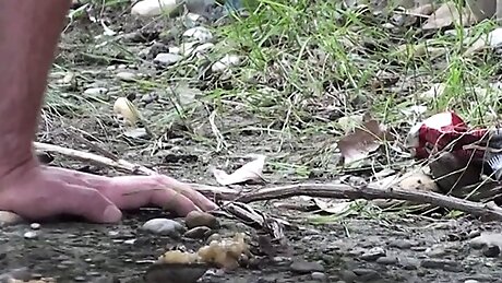 mistresses humiliate slaves