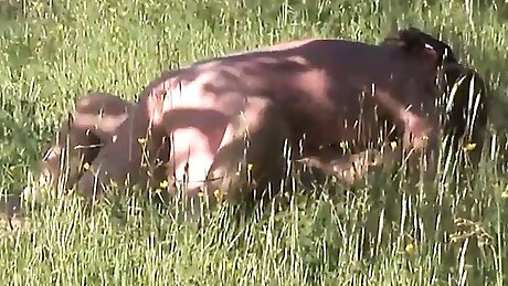 Roberta Farnese fucked in the workshop (Full Movie)