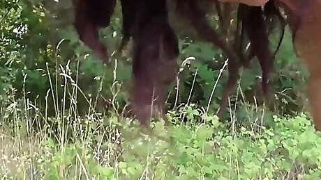 The private vices of Roberta Farnese - Episode 1