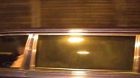 Sexy Blonde Fucked Hard In Car